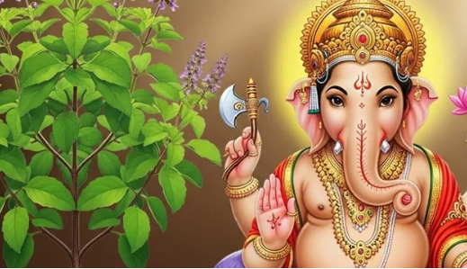 Tulsi not offered Lord Ganesha