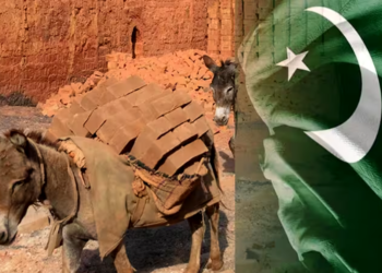 :India neighbor Pakistan is reaping the rewards of donkeys using this income to run the country