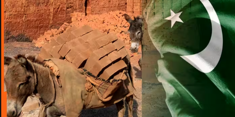 :India neighbor Pakistan is reaping the rewards of donkeys using this income to run the country