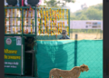cheeta Radha arrives at Gandhi Sagar