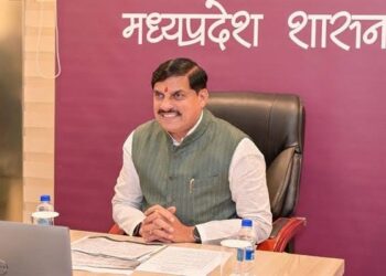 Solutions brought to electricity consumers