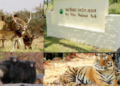 wildlife-week-2026
