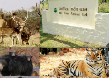 wildlife-week-2026