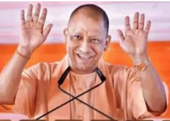 Yogi government