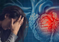 stress-and-inflammation-are-silently-damaging-the-heart-risk-can-begin-years-before-a-heart-attack