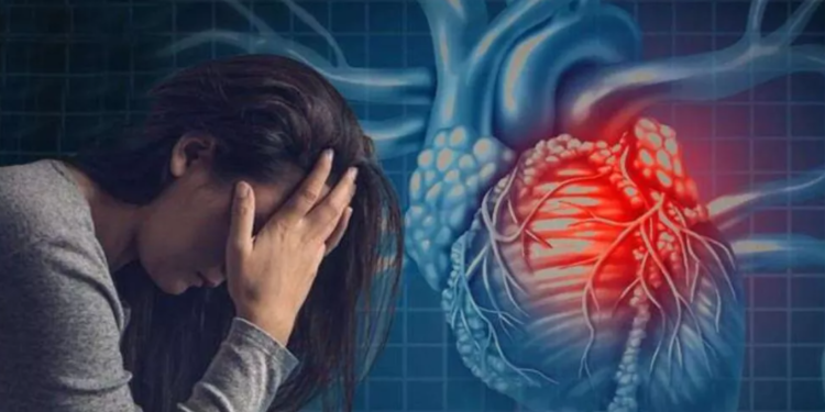 stress-and-inflammation-are-silently-damaging-the-heart-risk-can-begin-years-before-a-heart-attack