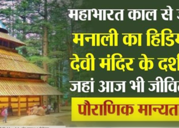 deodars Hidimba Devi Temple Manali